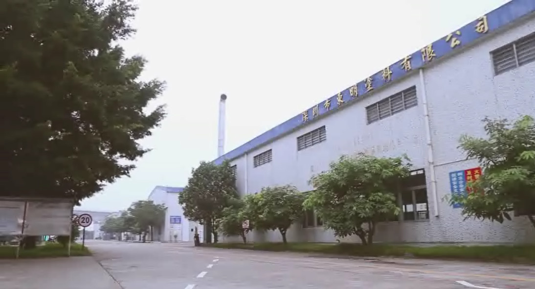 China Shenzhen Bangrong Automotive Supplies Co.,Ltd. company profile